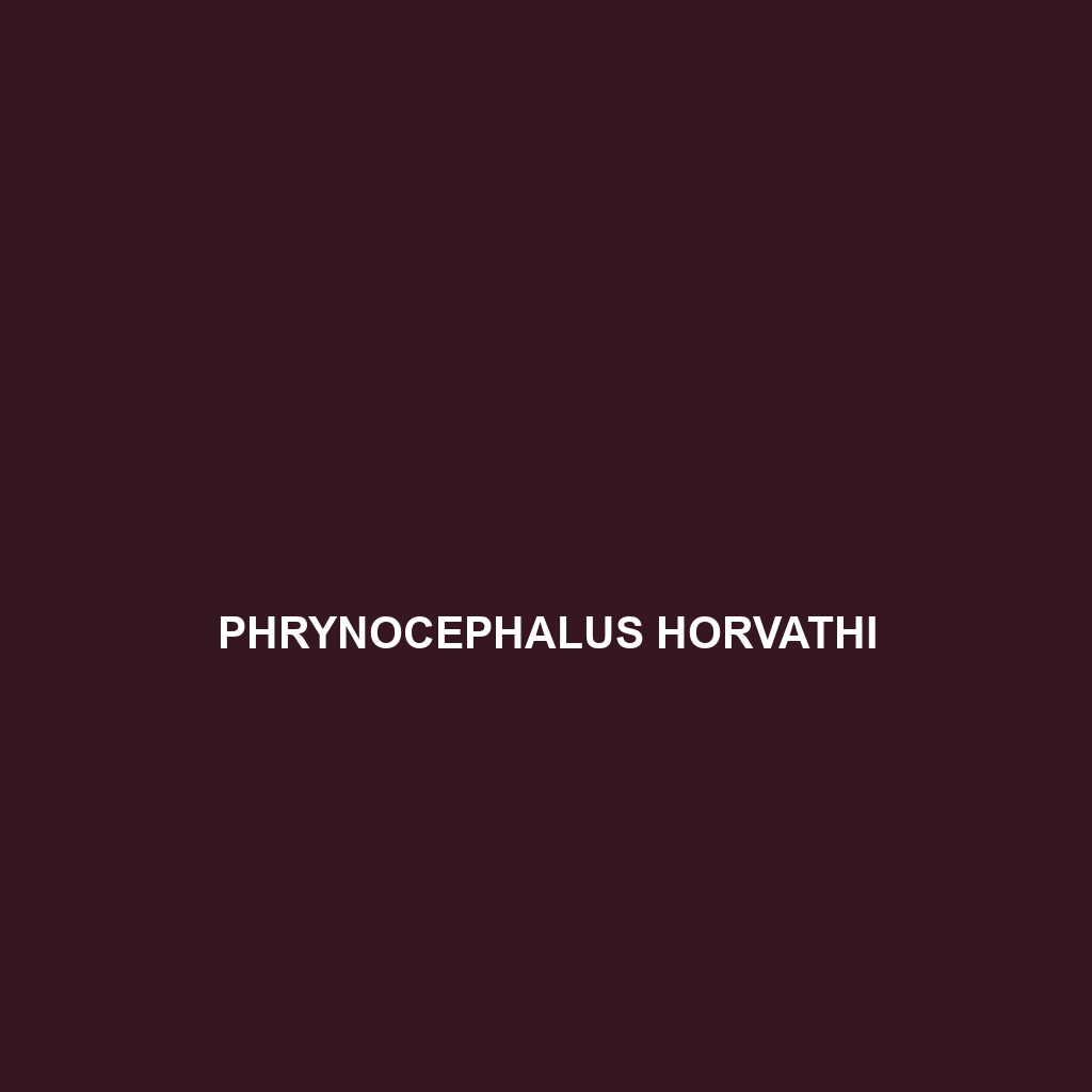 Phrynocephalus horvathi