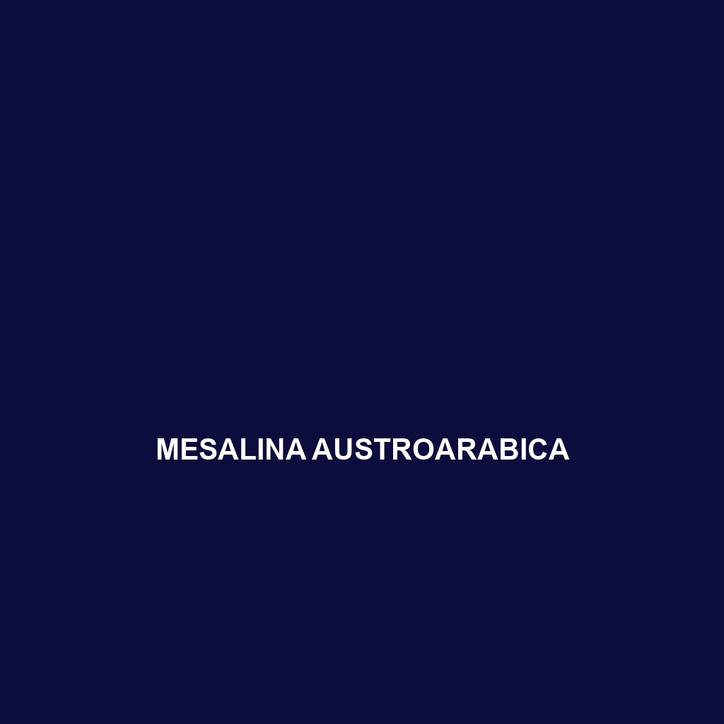 Mesalina austroarabica