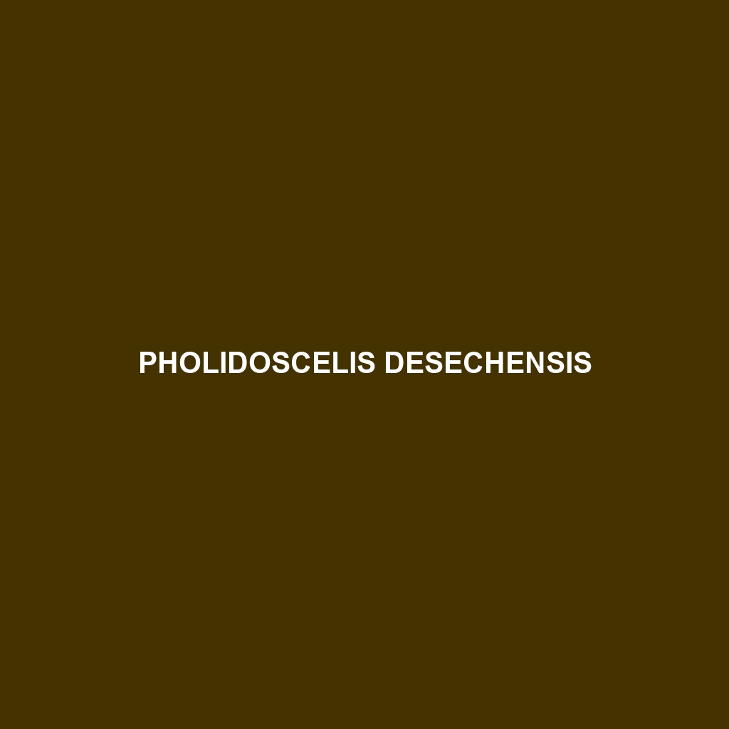 Pholidoscelis desechensis