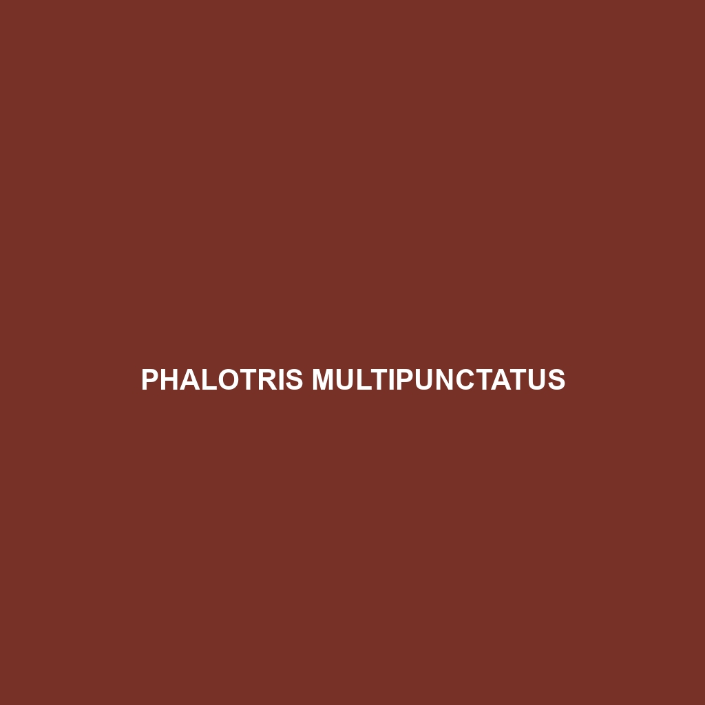 Phalotris multipunctatus