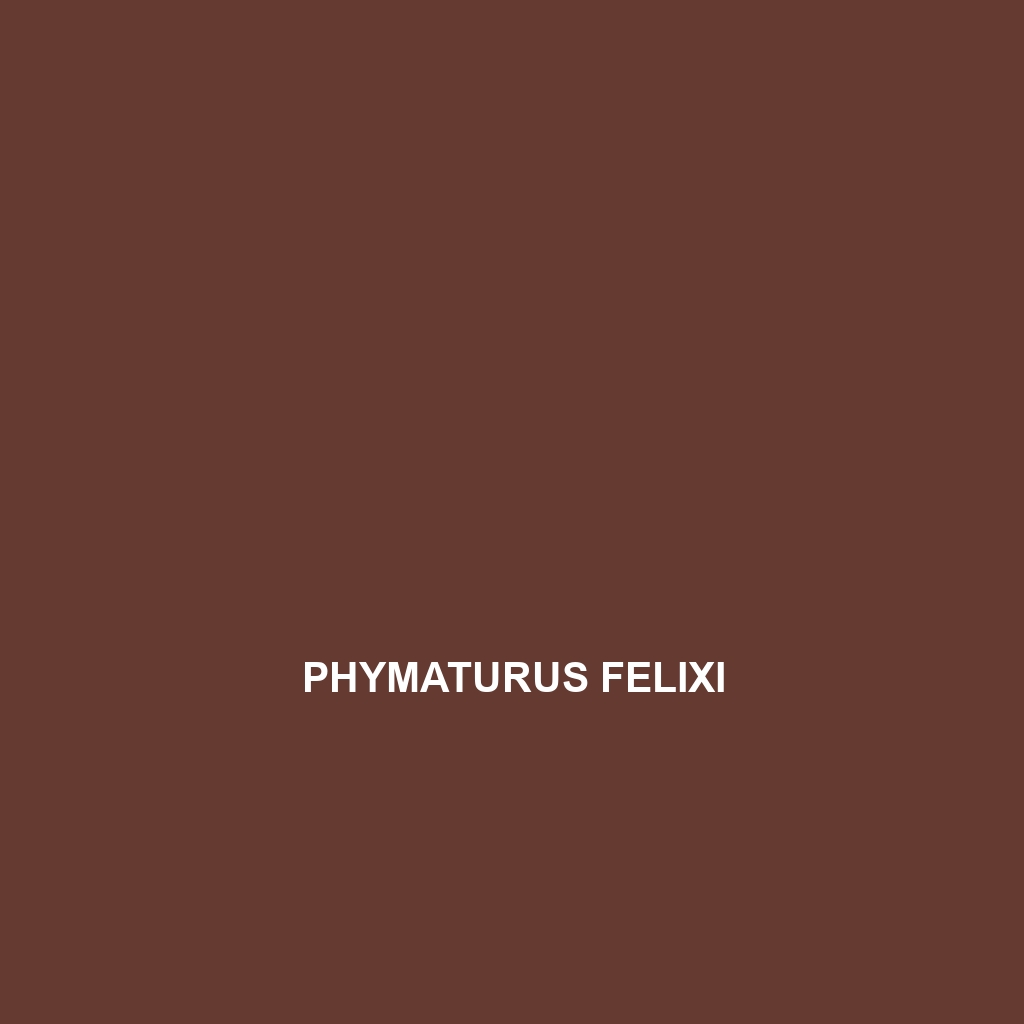 Phymaturus felixi