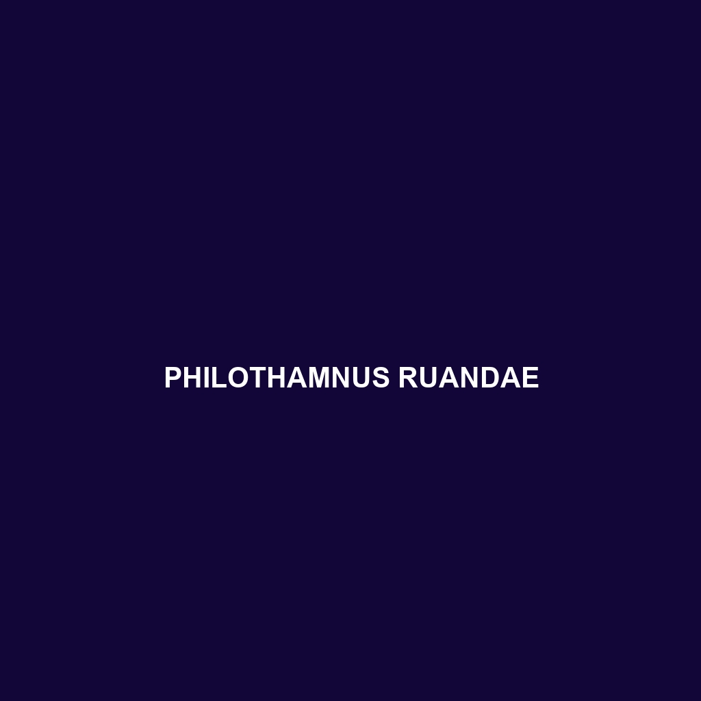 Philothamnus ruandae