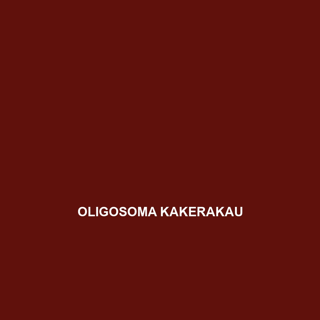 Oligosoma kakerakau