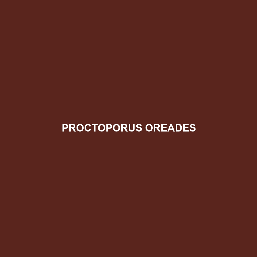 Proctoporus oreades