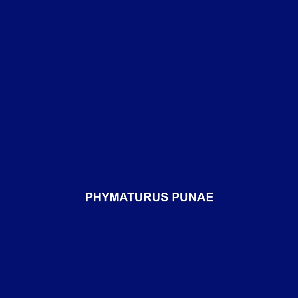 Phymaturus punae