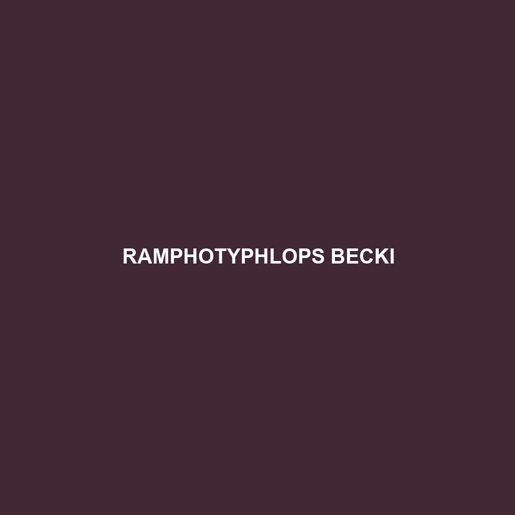 Ramphotyphlops becki