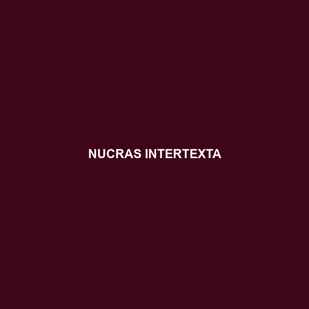 Nucras intertexta