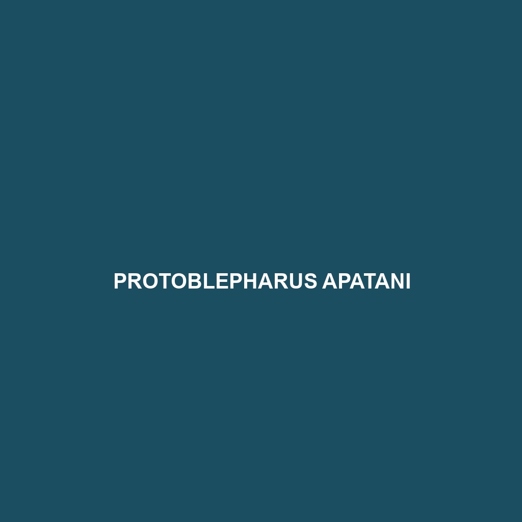 Protoblepharus apatani