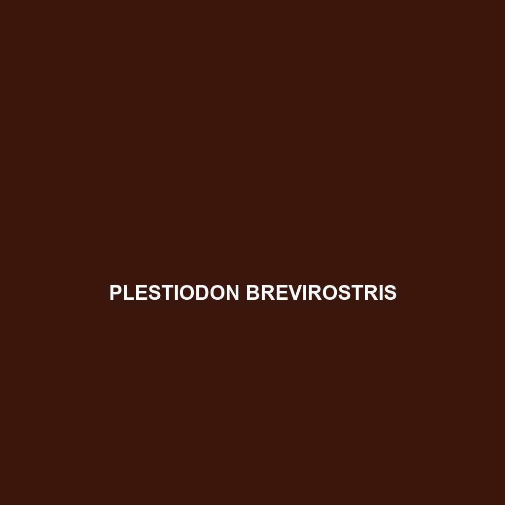 Plestiodon brevirostris