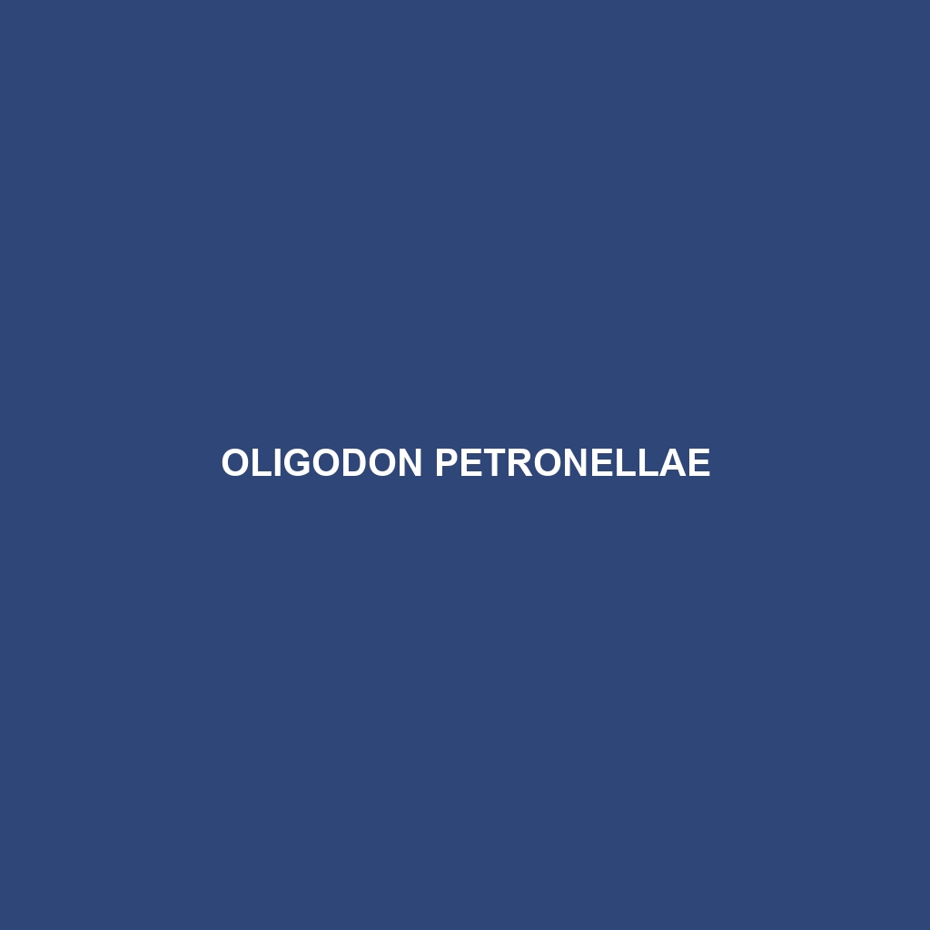 Oligodon petronellae