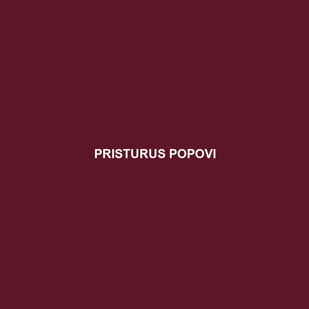 Pristurus popovi