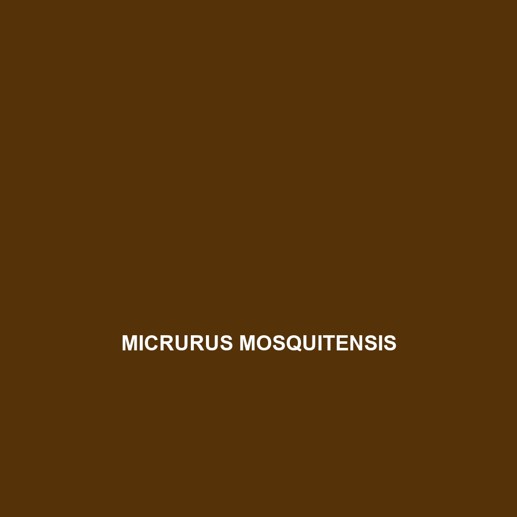 Micrurus mosquitensis