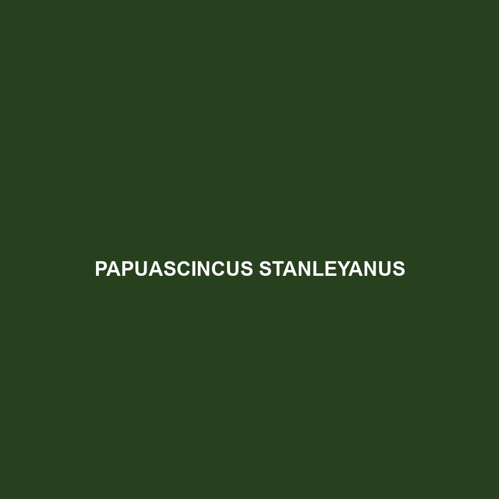 Papuascincus stanleyanus