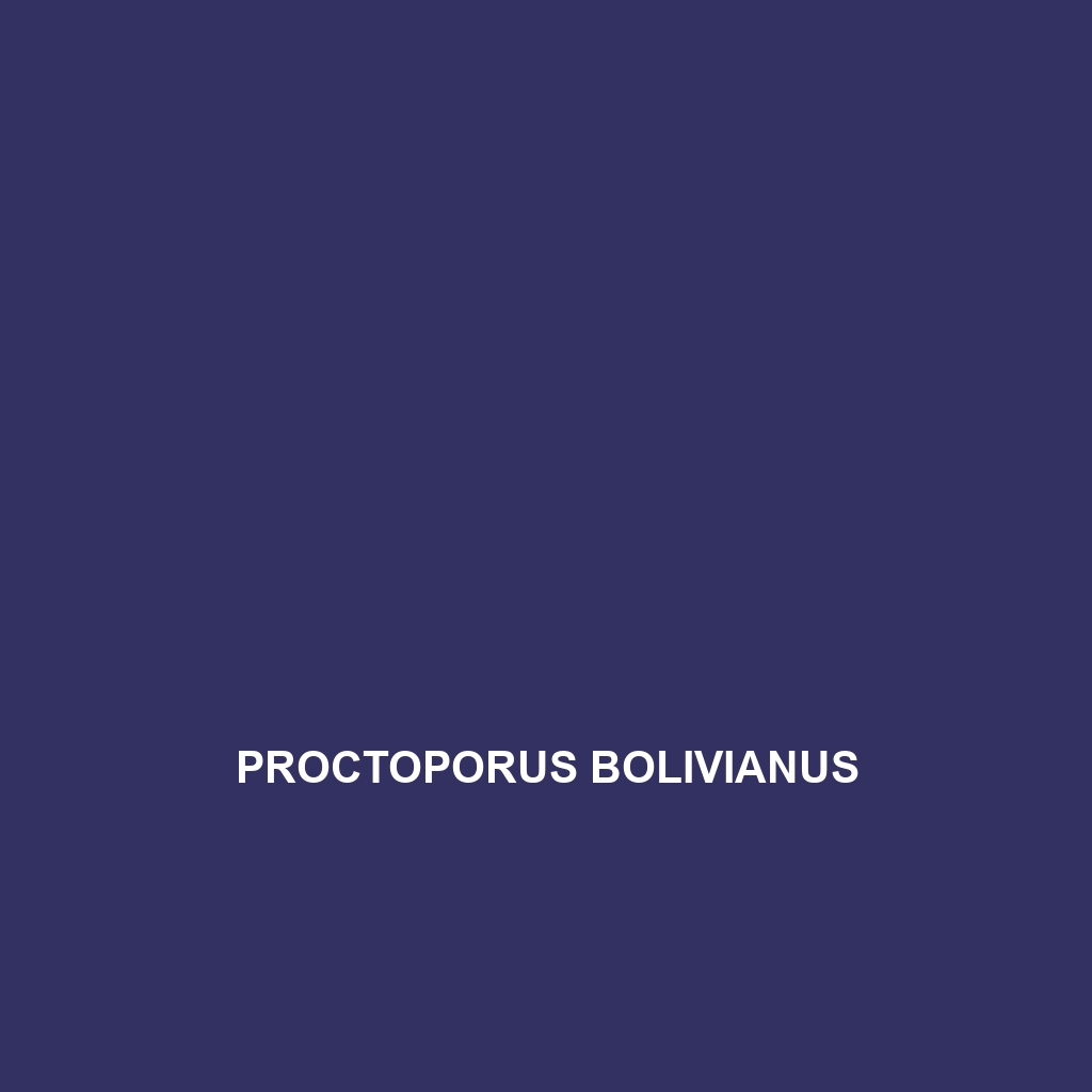 Proctoporus bolivianus