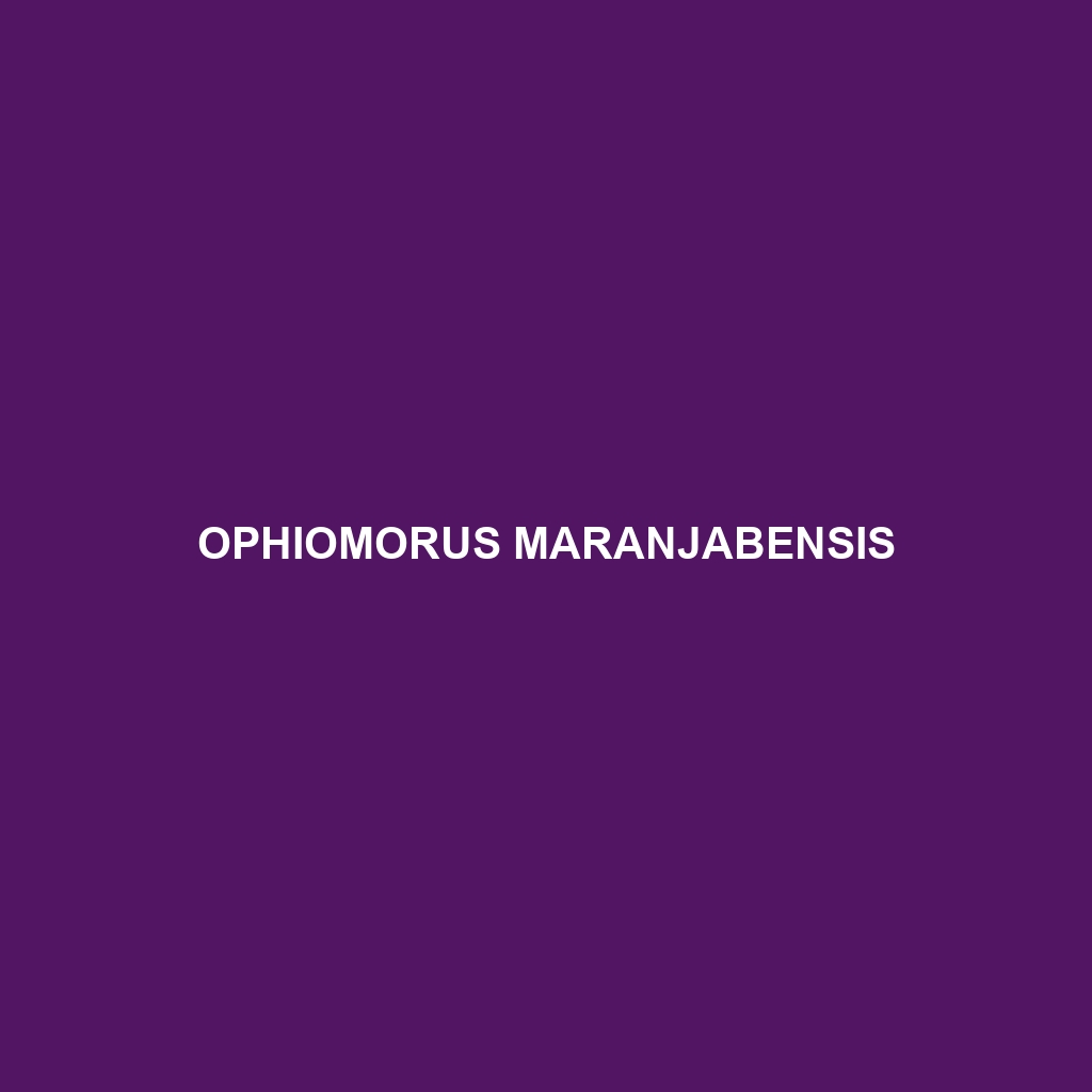 Ophiomorus maranjabensis