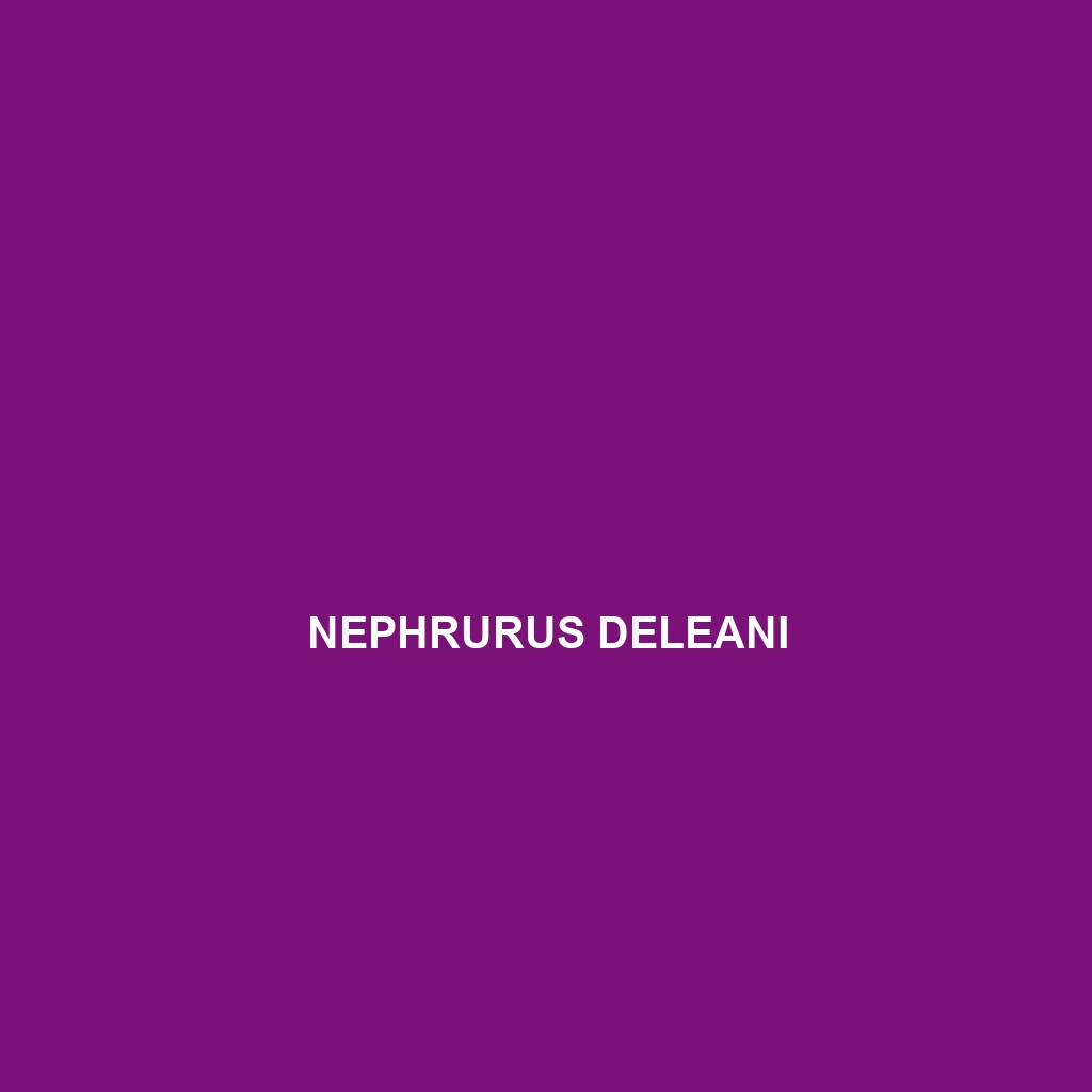 Nephrurus deleani