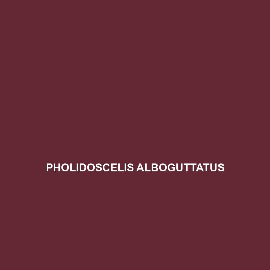 Pholidoscelis alboguttatus