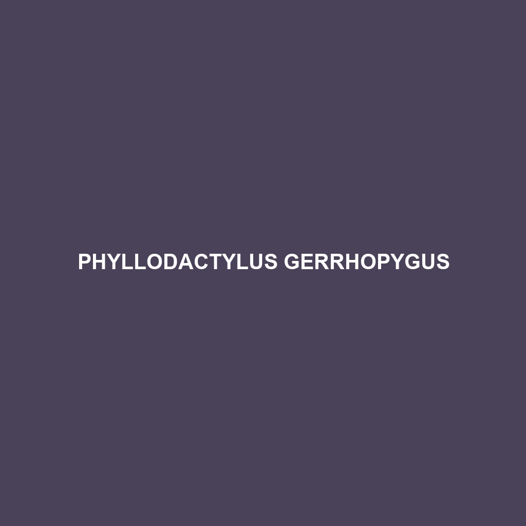 Phyllodactylus gerrhopygus