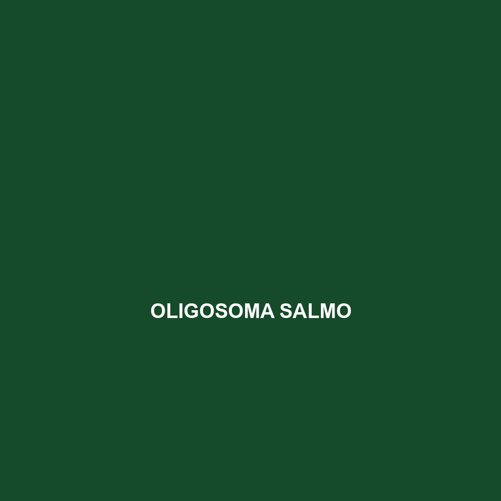 Oligosoma salmo