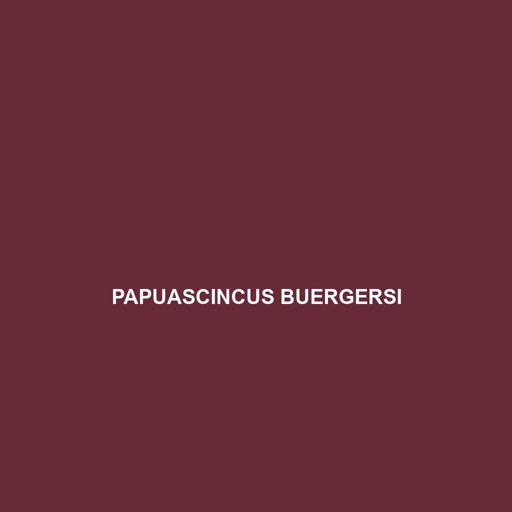 Papuascincus buergersi