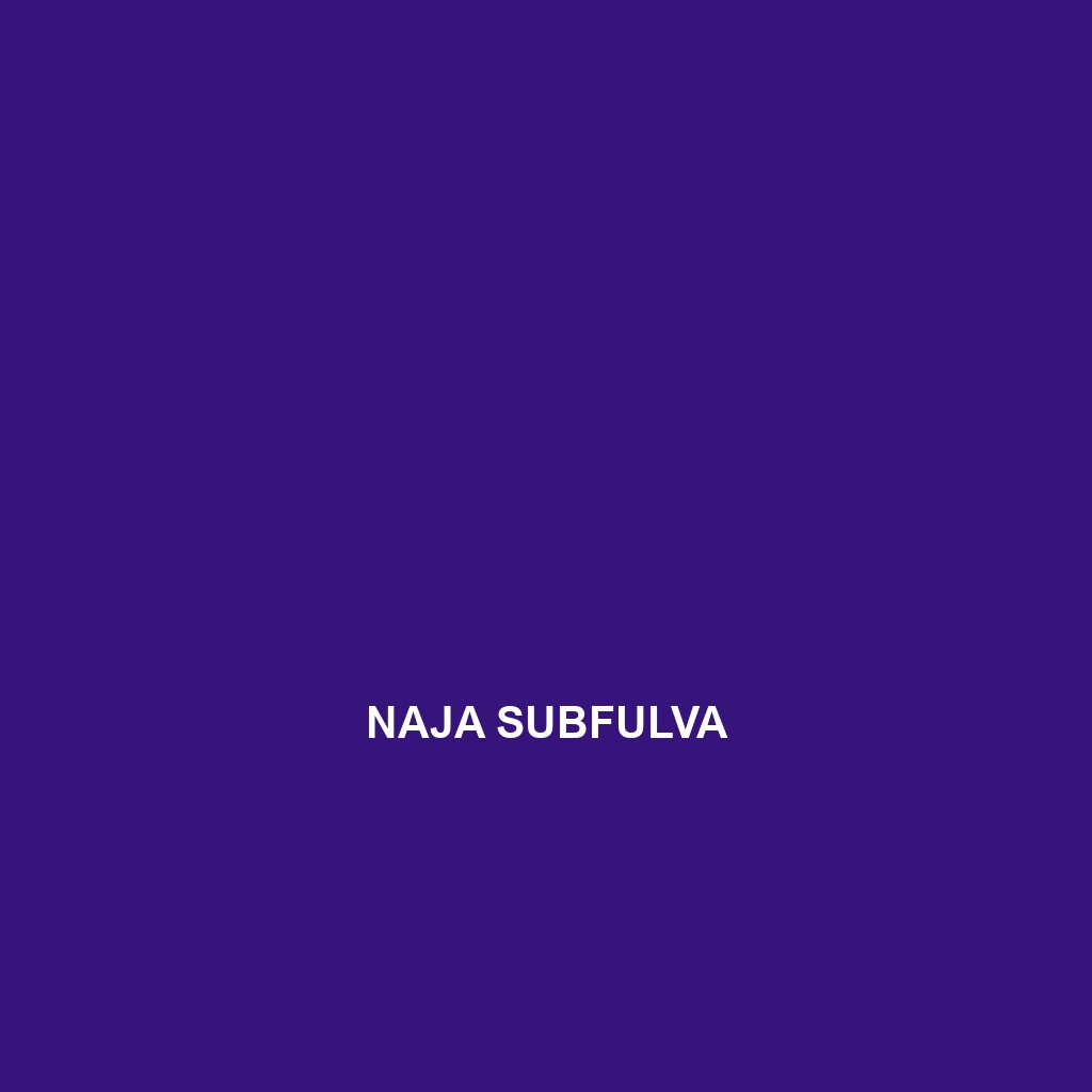 Naja subfulva