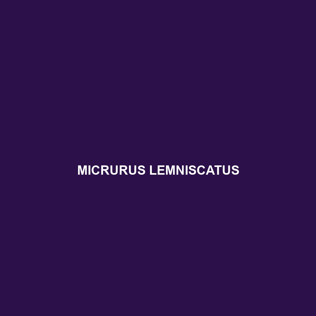 Micrurus lemniscatus