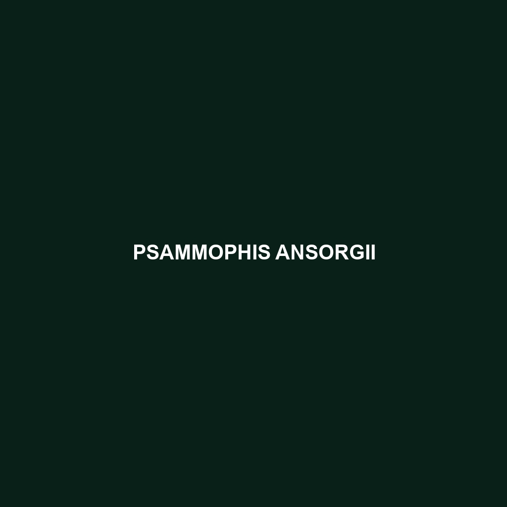 Psammophis ansorgii