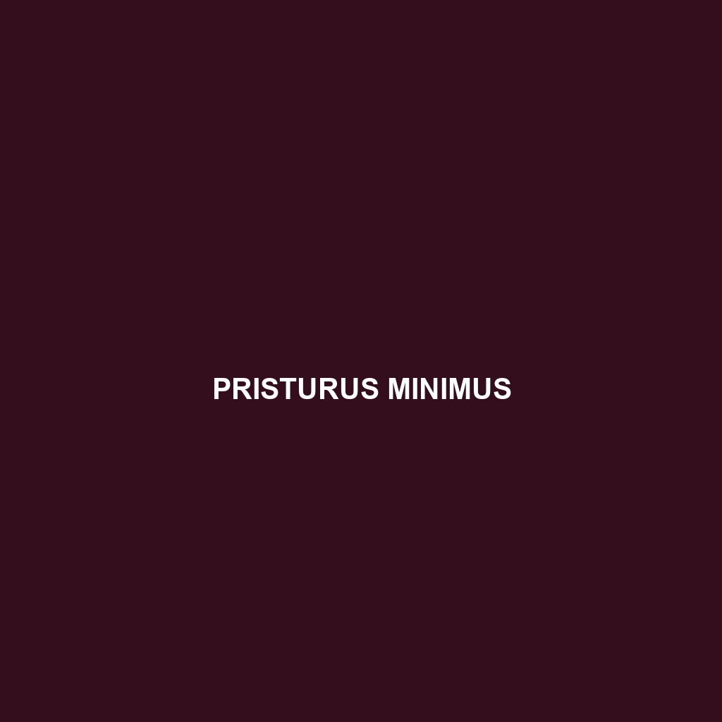 Pristurus minimus