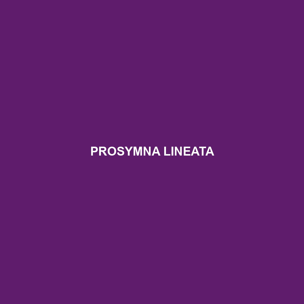 Prosymna lineata