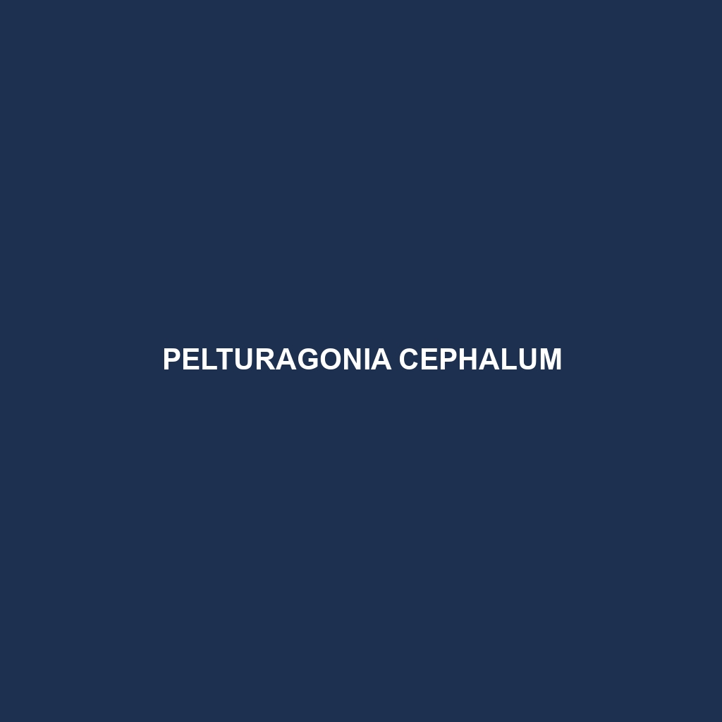 Pelturagonia cephalum