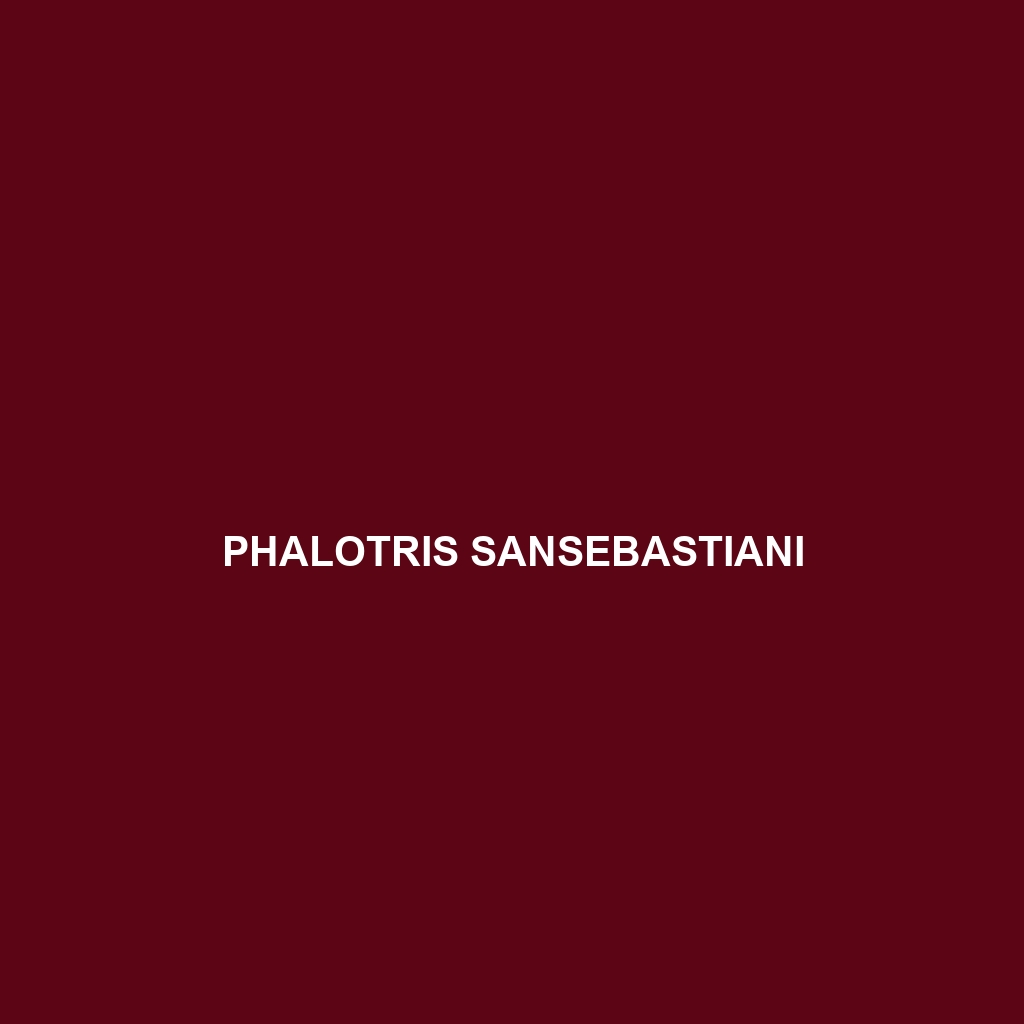 Phalotris sansebastiani