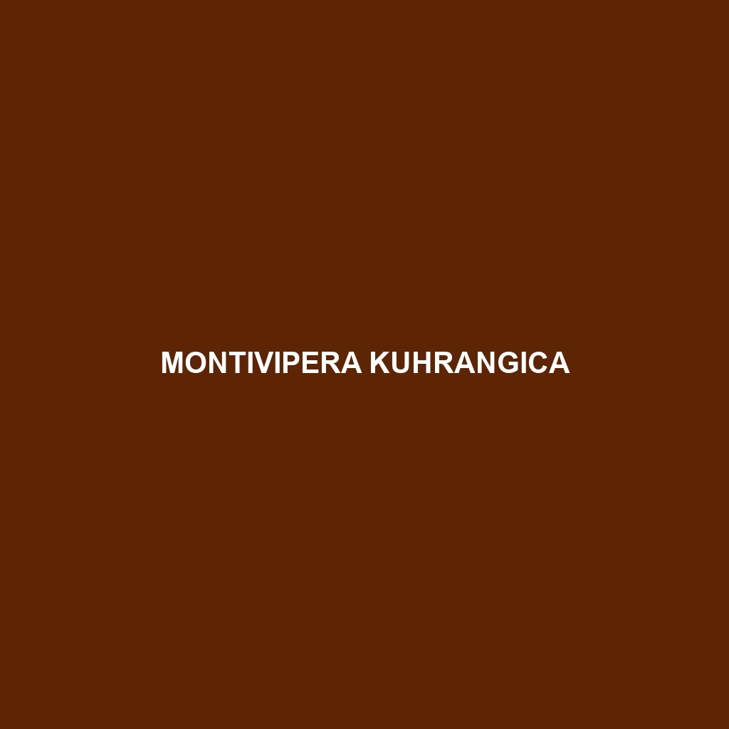 Montivipera kuhrangica