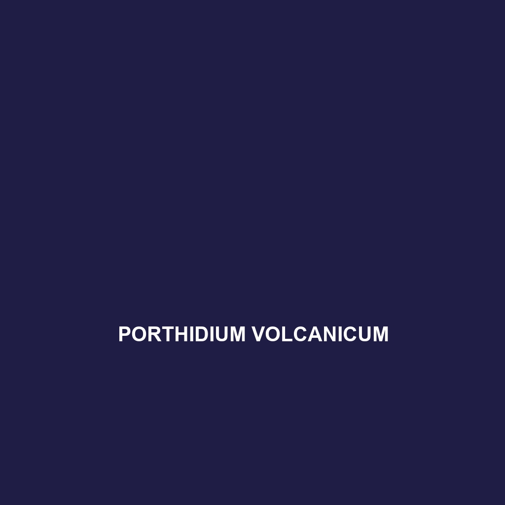 Porthidium volcanicum