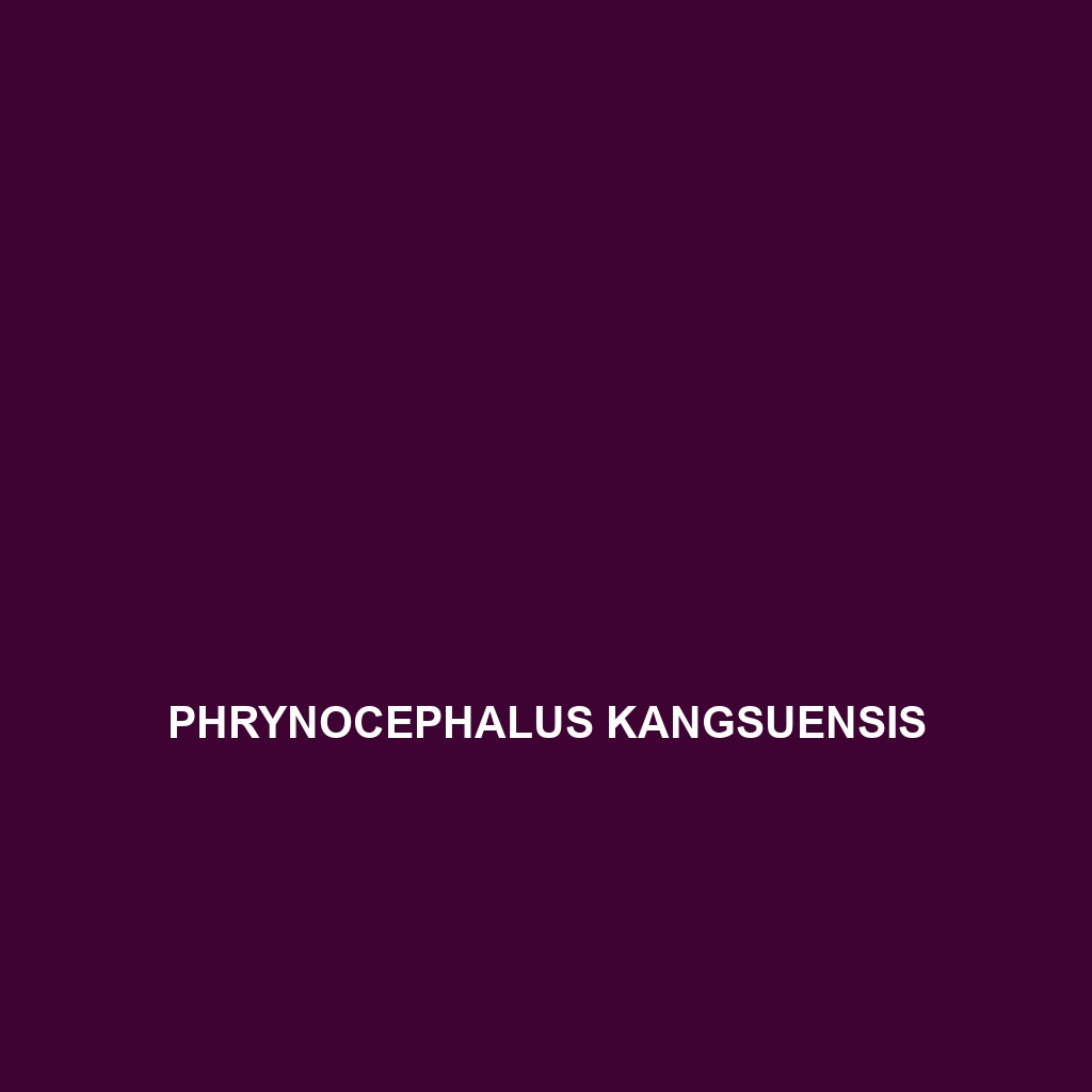 Phrynocephalus kangsuensis