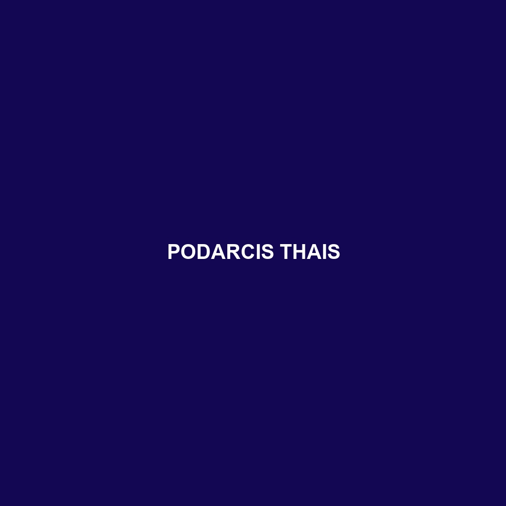 Podarcis thais