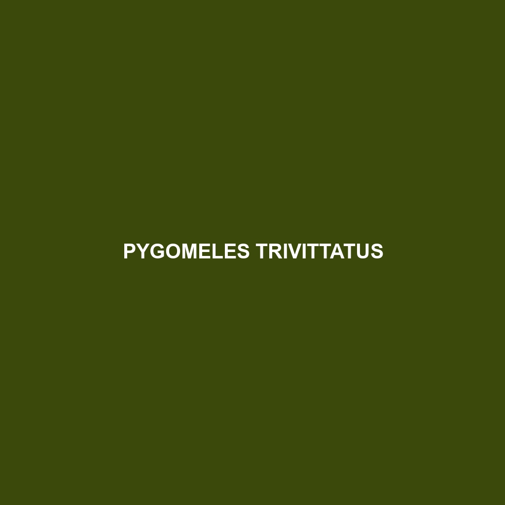 Pygomeles trivittatus