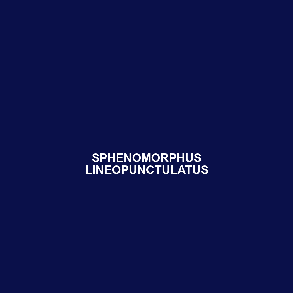 Sphenomorphus lineopunctulatus