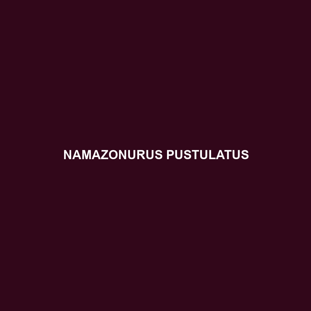 Namazonurus pustulatus