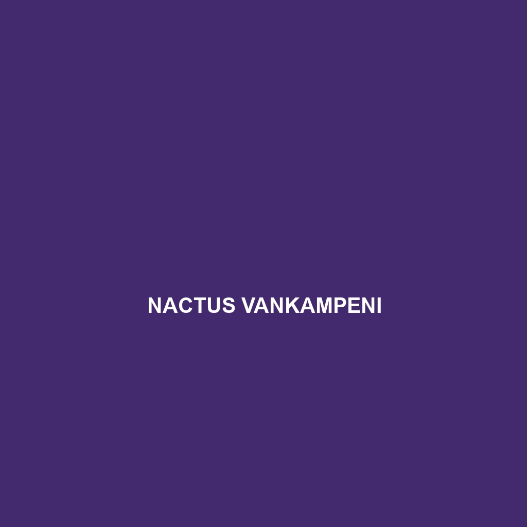 Nactus vankampeni