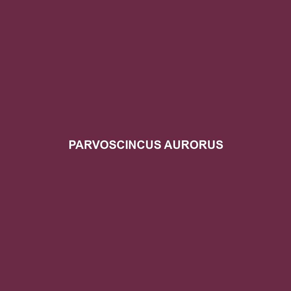 Parvoscincus aurorus