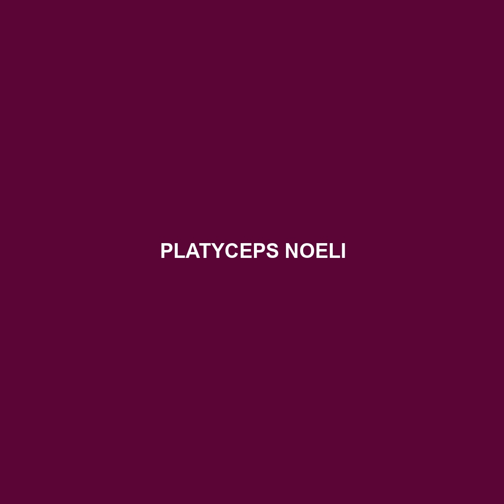 Platyceps noeli