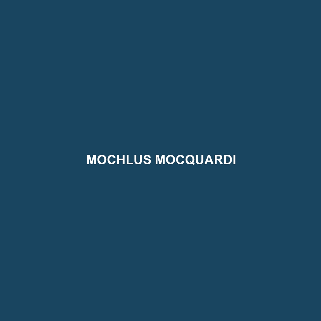 Mochlus mocquardi