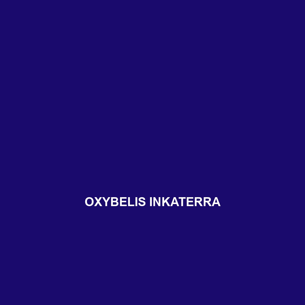 Oxybelis inkaterra