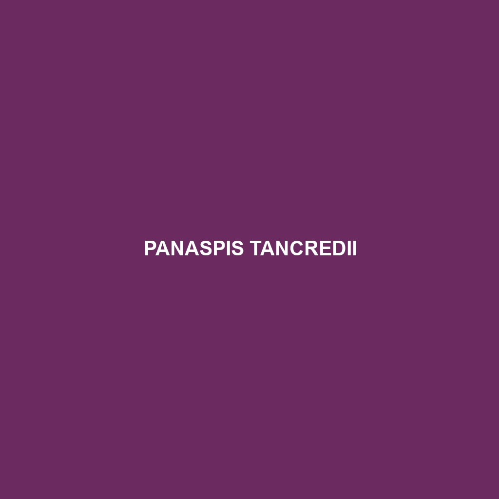 Panaspis tancredii