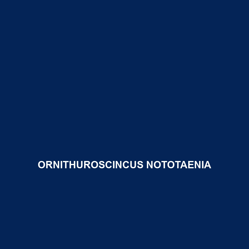 Ornithuroscincus nototaenia