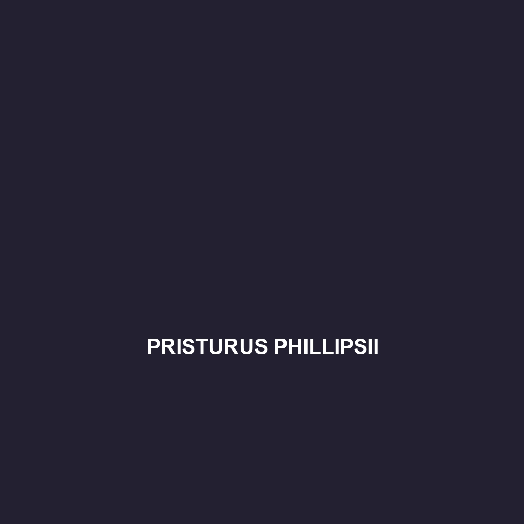 Pristurus phillipsii