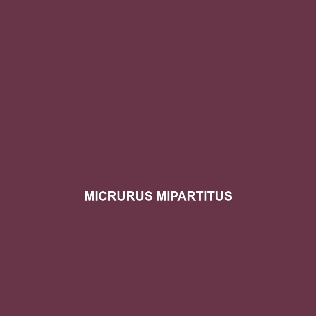 Micrurus mipartitus