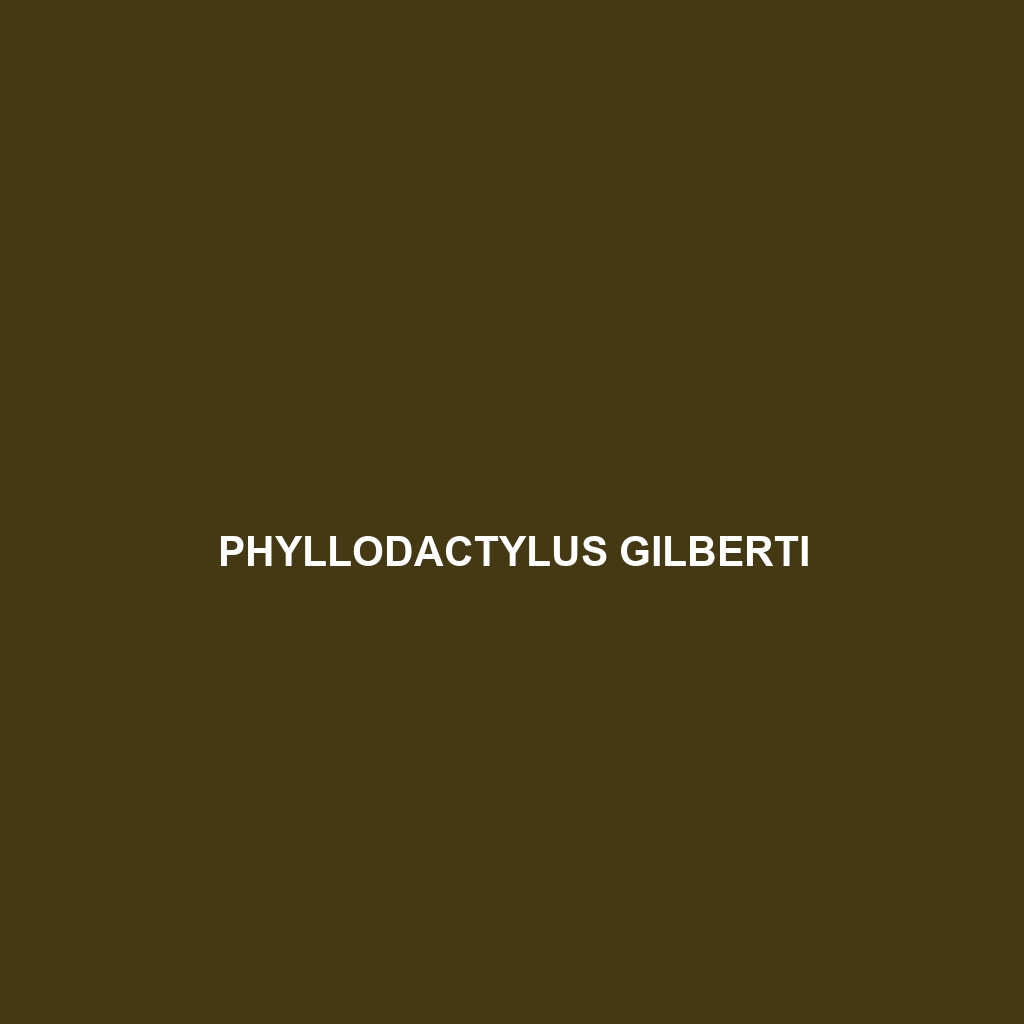 Phyllodactylus gilberti