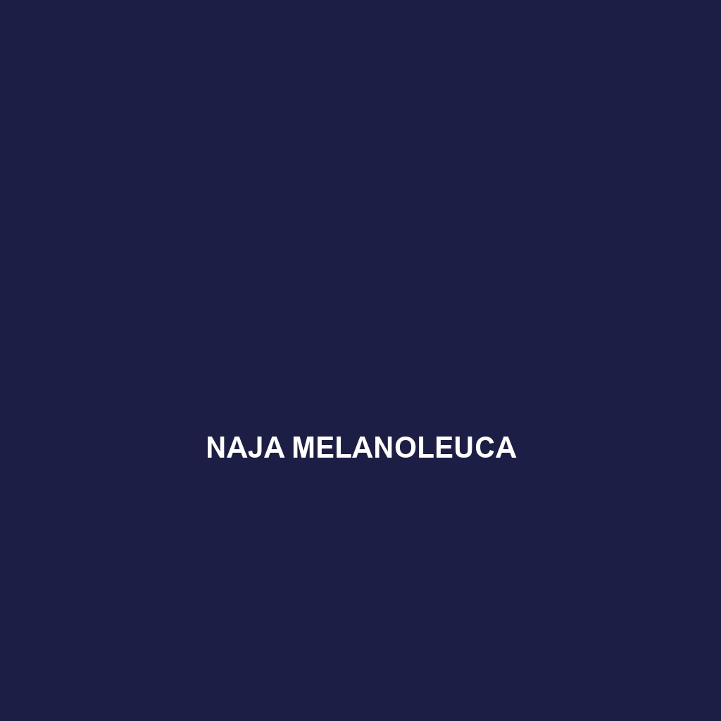 Naja melanoleuca