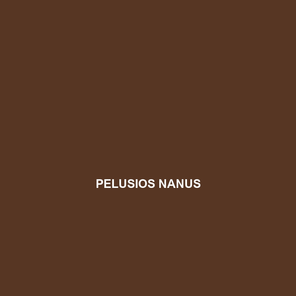 Pelusios nanus